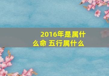 2016年是属什么命 五行属什么